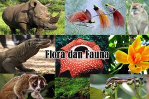 Flora dan Fauna