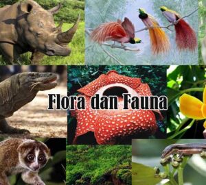 Flora dan Fauna