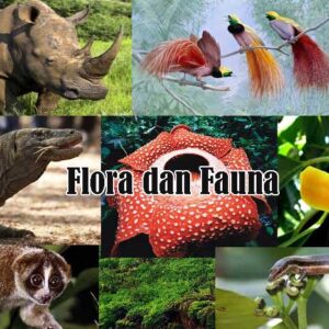 Flora dan Fauna