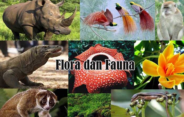 Flora dan Fauna