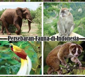 Persebaran Fauna di Indonesia
