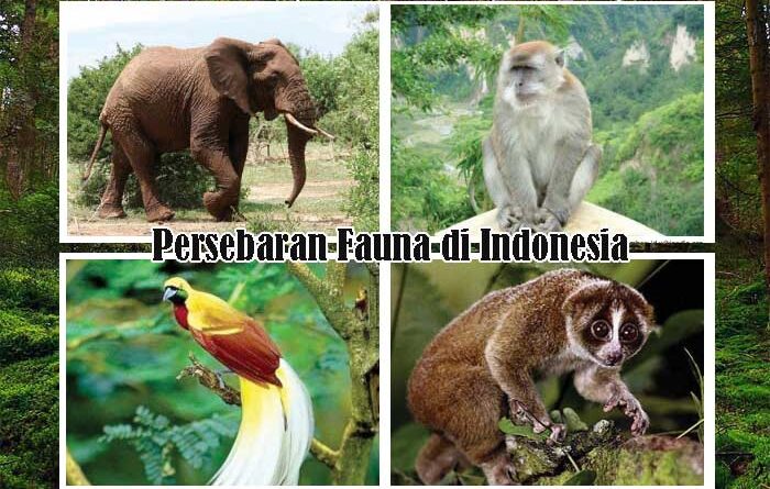 Persebaran Fauna di Indonesia