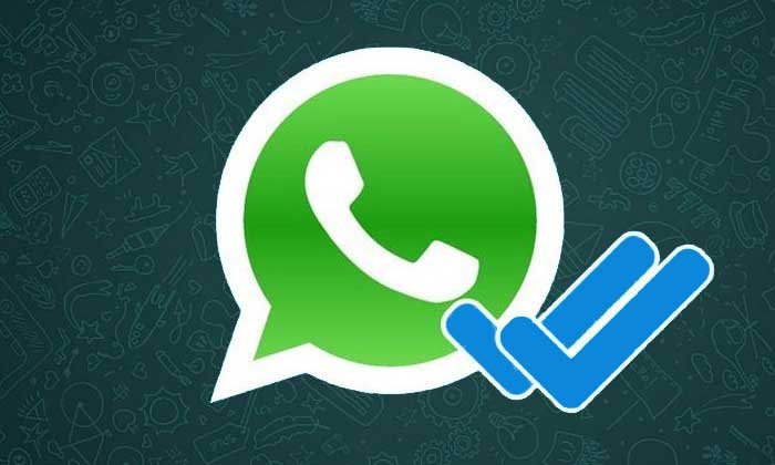 Menghilangkan Centang Biru di WhatsApp