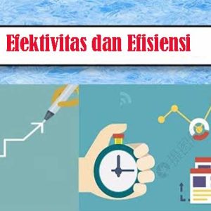 Efektivitas dan Efisiensi