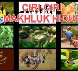 Ciri-ciri Makhluk Hidup