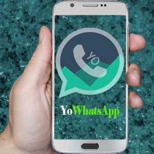 YoWhatsApp Apk