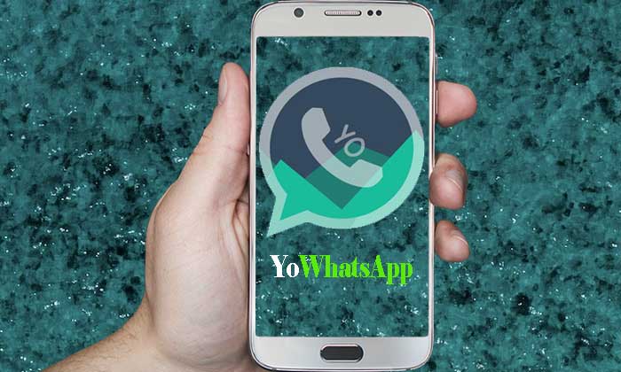 YoWhatsApp Apk