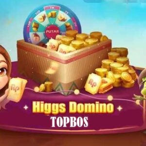 higgs domino topbos rp