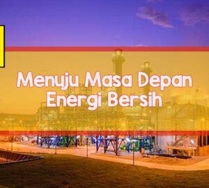 pln