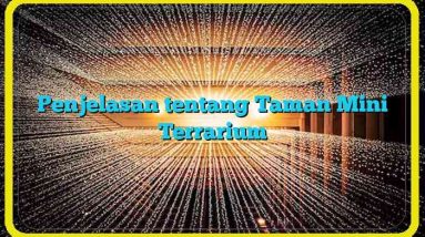 Penjelasan tentang Taman Mini Terrarium