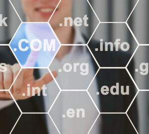 memilih nama domain