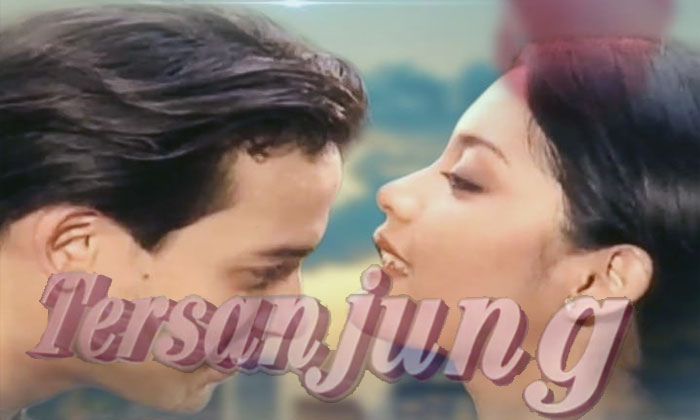 sinetron tersanjung