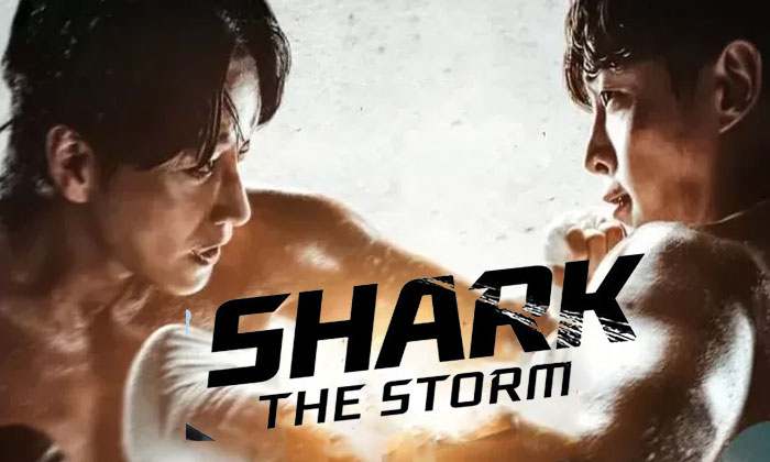 drakor shark the storm