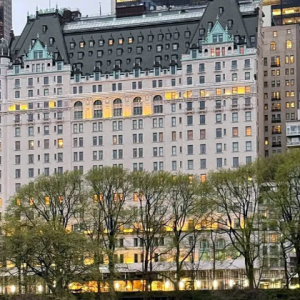 plaza hotel new york central park