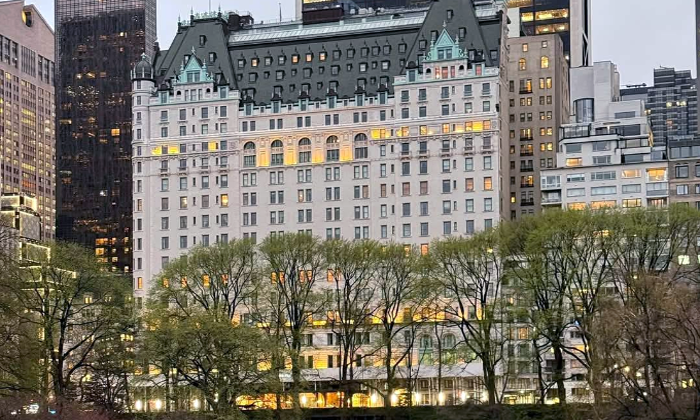 plaza hotel new york central park